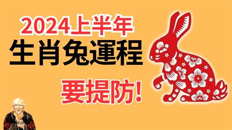 2024属兔运势|属兔人2024年运势及运程详解 2024年属兔的人全年每月运程